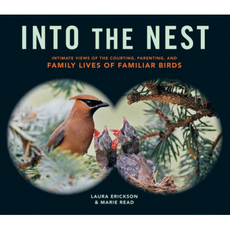 Into the Nest: Intimate Views of the Courting, Parenting, and Family Lives of Familiar Birds