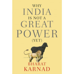 Why India is not a Great Power (Yet)