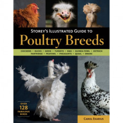 Storey's Illustrated Guide to Poultry Breeds: Chickens, Ducks, Geese, Turkeys, Emus, Guinea Fowl, Ostriches, Partridges, Peafowl, Pheasants, Quails, Swans