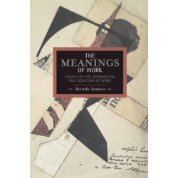 Meanings Of Work, The: Essays On The Affirmation And Negation Of Work: Historical Materialism, Volume 43