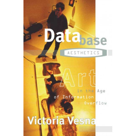 Database Aesthetics: Art in the Age of Information Overflow