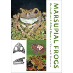 Marsupial Frogs: Gastrotheca and Allied Genera