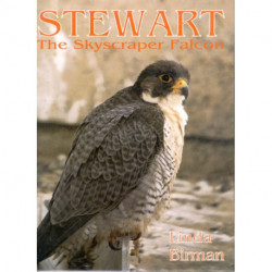 Stewart: The Skyscraper Falcon