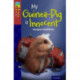 Oxford Reading Tree TreeTops Fiction: Level 15 More Pack A: My Guinea-Pig Is Innocent