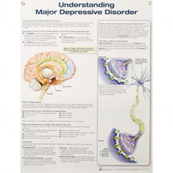 Understanding Major Depressive Disorder