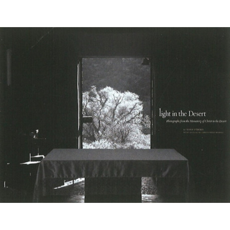 Light in the Desert: Photographs from the Monastery of Christ in the Desert