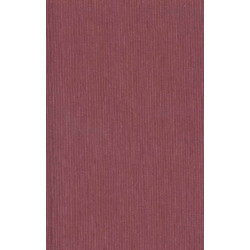 Spinoza: The Letters