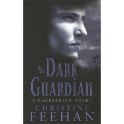 Dark Guardian: Number 9 in series
