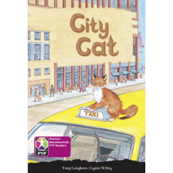 PYP L8 City Cat 6PK