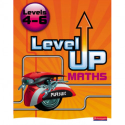 Level Up Maths: Pupil Book (Level 4-6)
