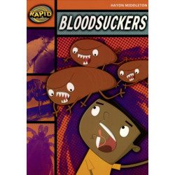 Rapid Stage 4: Reader Set (Series 1)