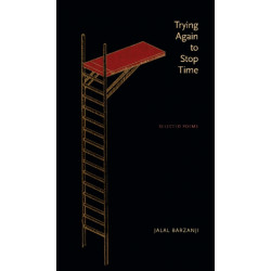 Trying Again to Stop Time: Selected Poems
