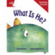 Rigby Star Guided Reading Red Level: What Is He? Teaching Version