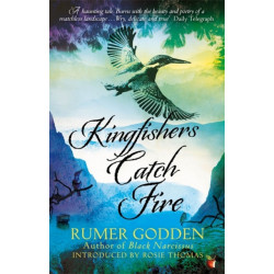 Kingfishers Catch Fire: A Virago Modern Classic