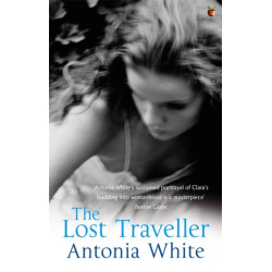 The Lost Traveller