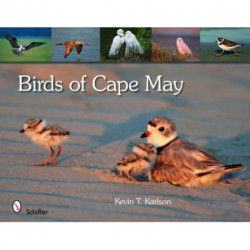 Birds of Cape May, New Jersey