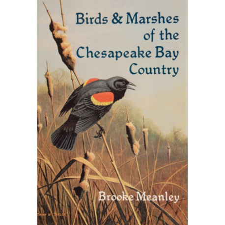 Birds & Marshes of the Chesapeake Bay Country