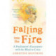 Falling into the Fire: A Psychiatrist's Encounters with the Mind in Crisis