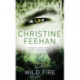 Wild Fire: Number 4 in series