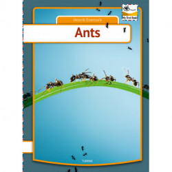 Ants