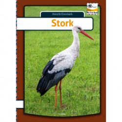 Stork - engelsk