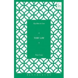 Key Ideas in Tort Law
