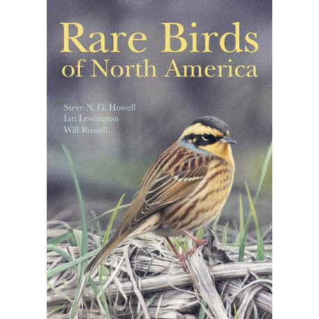 Rare Birds of North America