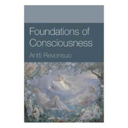 Foundations of Consciousness