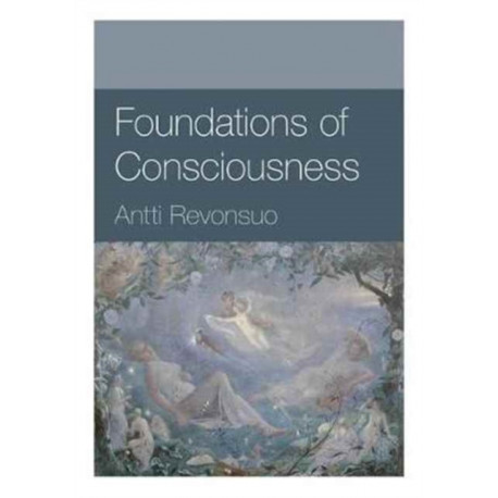 Foundations of Consciousness