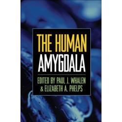 The Human Amygdala