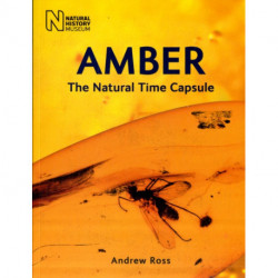 Amber: The Natural Time Capsule