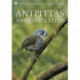 Antpittas and Gnateaters