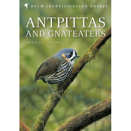Antpittas and Gnateaters