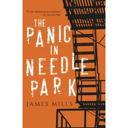 The Panic in Needle Park