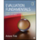 Evaluation Fundamentals: Insights into Program Effectiveness, Quality, and Value