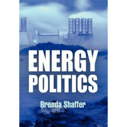Energy Politics