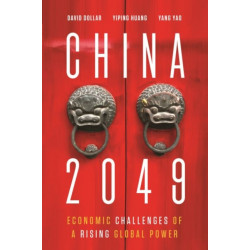 China 2049: Economic Challenges of a Rising Global Power