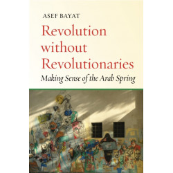 Revolution Without Revolutionaries: Making Sense of the Arab Spring
