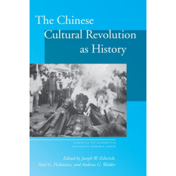 The Chinese Cultural Revolution As History