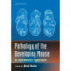 Pathology of the Developing Mouse: A Systematic Approach
