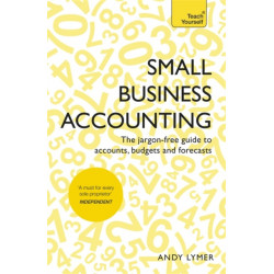Small Business Accounting: The jargon-free guide to accounts, budgets and forecasts