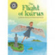 Reading Champion: The Flight of Icarus: Independent Reading 17