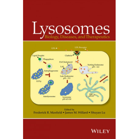 Lysosomes: Biology, Diseases, and Therapeutics