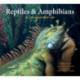 Reptiles & Amphibians in Contemporary Art