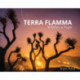 Terra Flamma: Wildfires at Night
