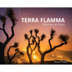 Terra Flamma: Wildfires at Night