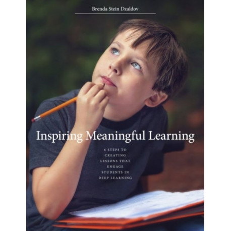 Inspiring Meaningful Learning: 6 Steps to Creating Lessons that Engage Students in Deep Learning