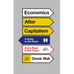 Economics After Capitalism: A Guide to the Ruins and a Road to the Future