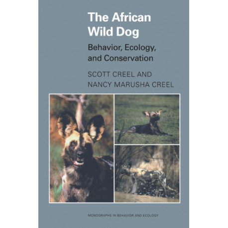 The African Wild Dog: Behavior, Ecology, and Conservation