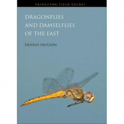 Dragonflies and Damselflies of the East